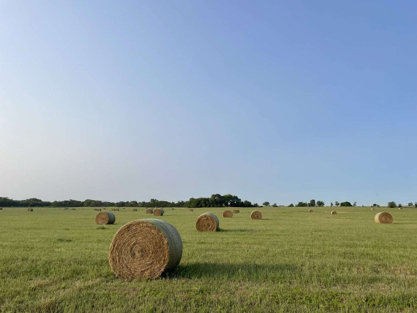 HayHarvest