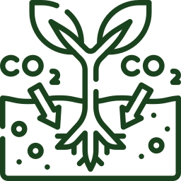 carbon-sequestration