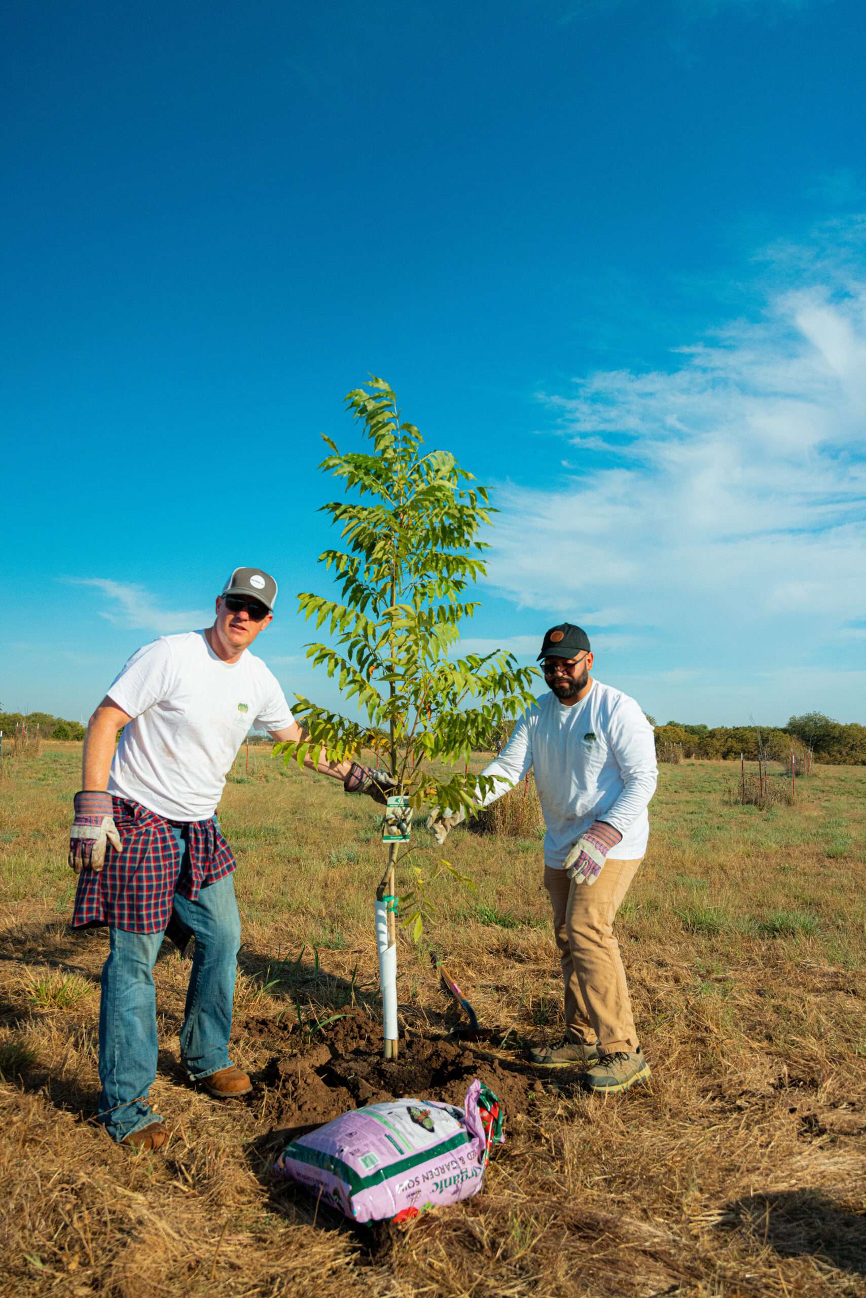 Orchard tree planting at Rainmaker Farm as part of the Q4 Impact Report